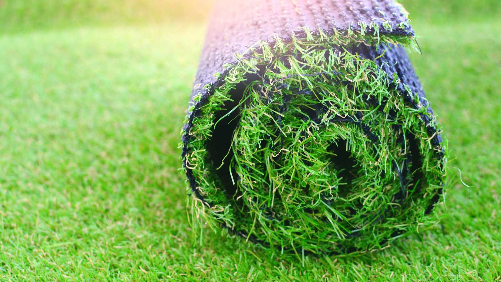 A close-up of a roll of artificial turf, showcasing its green grass-like fibers against a backdrop of neatly trimmed grass.