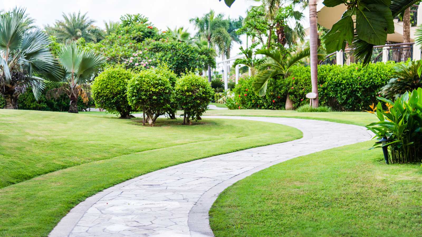 Curved stone pathway winding through lush green grass and vibrant tropical plants in a serene garden setting.