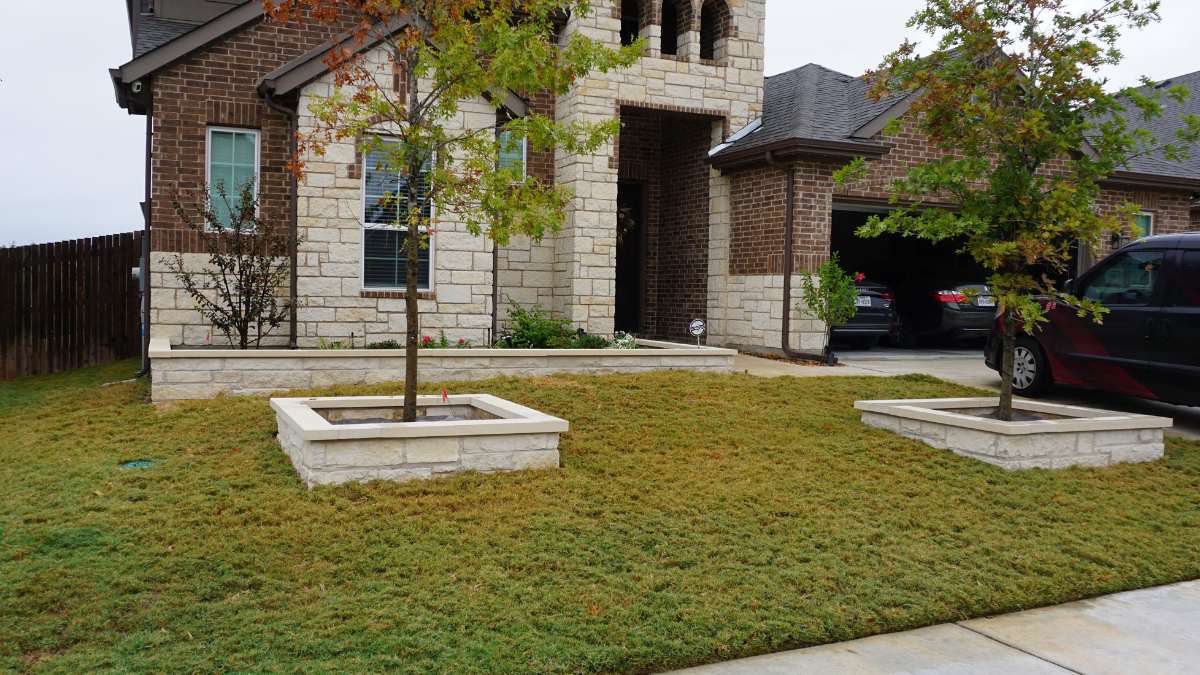 A modern home featuring stone and brick exteriors, bordered by landscaped grass and two small trees in concrete planters.