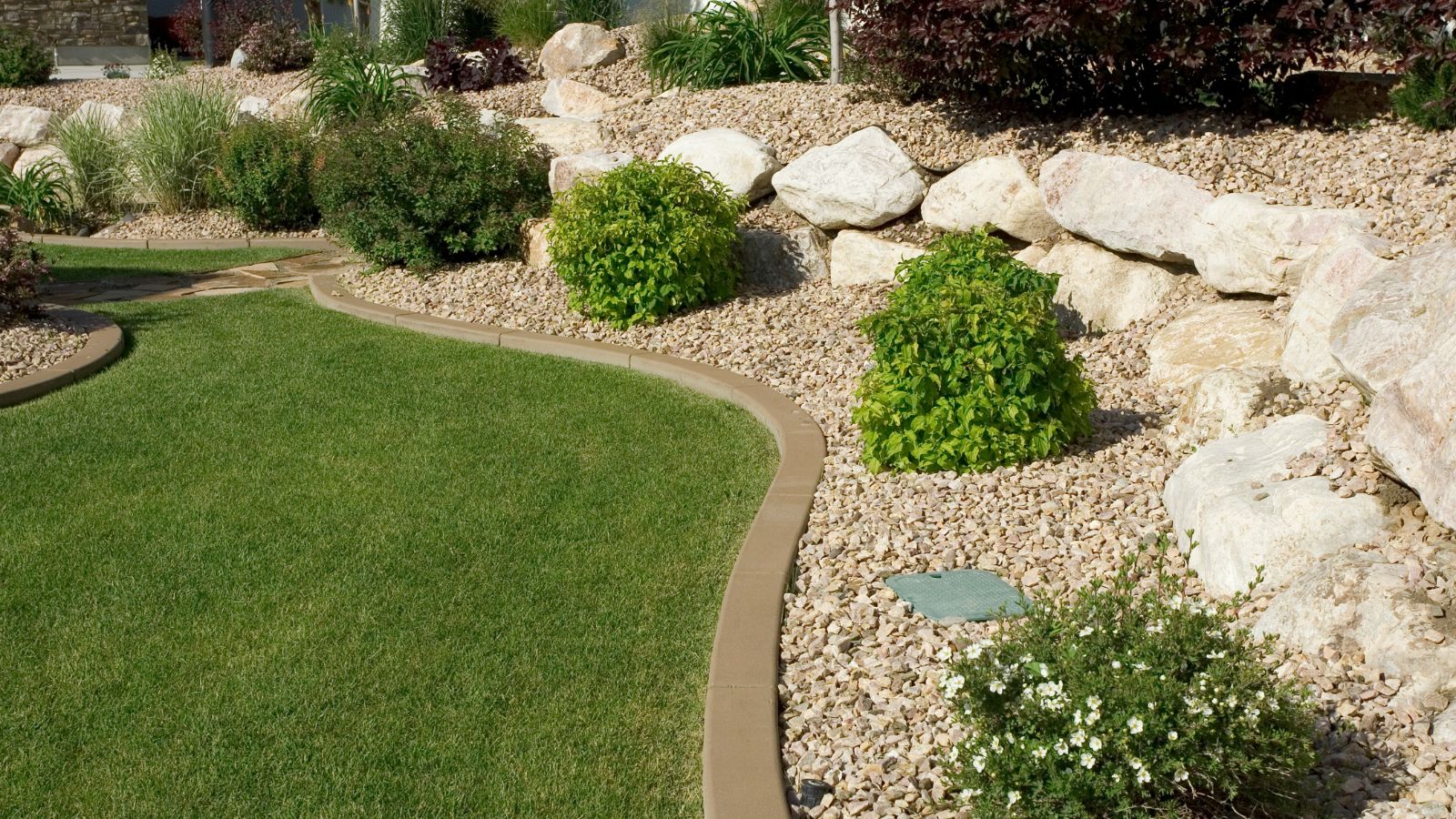 Lawn featuring a mix of grass and scattered rocks in the background, creating a natural outdoor setting.