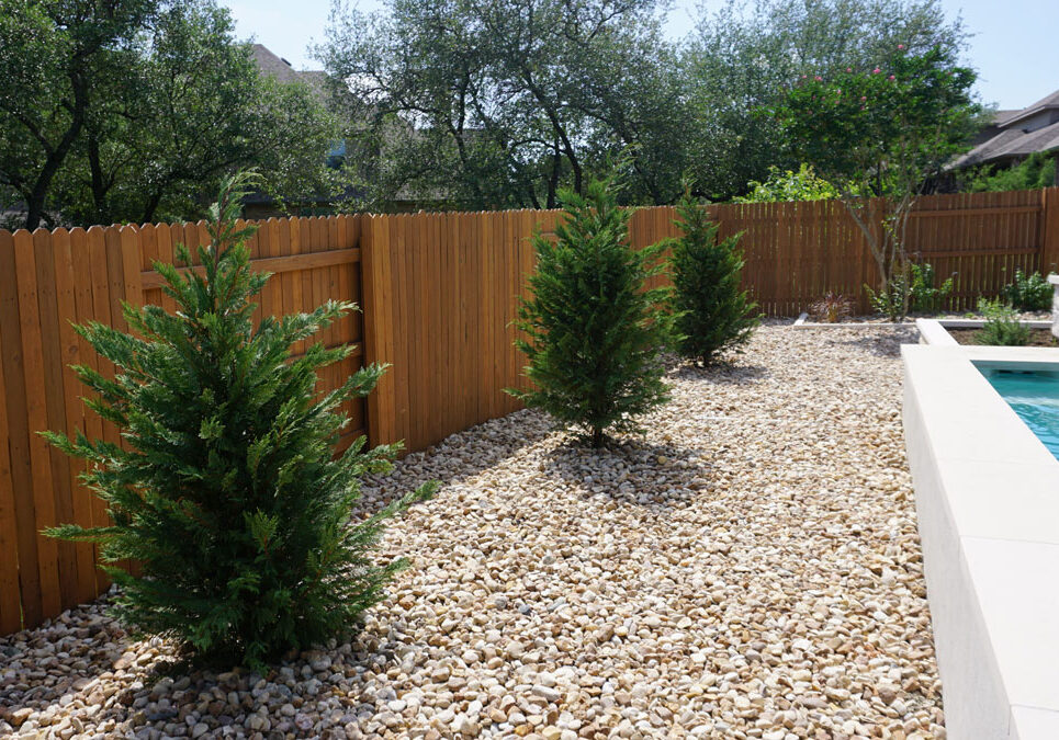 backyard-wooden-fence A backyard with a wooden fence, three shrubs surrounded by gravel, and a glimpse of a swimming pool in the corner. Bright and sunny.