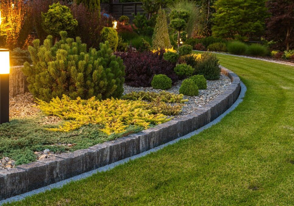 A serene garden featuring a stone wall adorned with soft glowing lights, creating a tranquil evening atmosphere.
