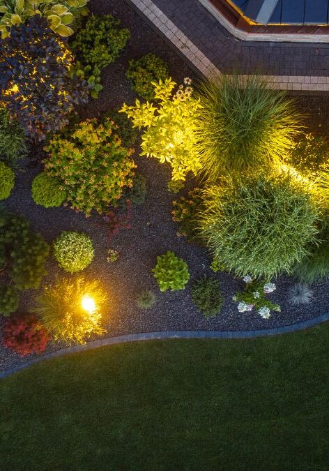A beautifully lit garden at night, featuring various plants and decorative lights illuminating the serene atmosphere.